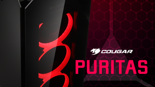 Cougar Puritas: The Modder’s Dream Case