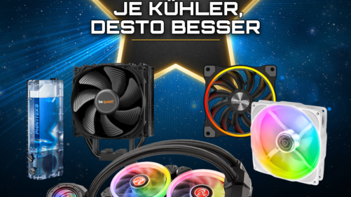 Highlights 2019: Je Kühler, desto besser