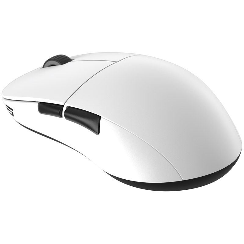 GAMO_1073_01