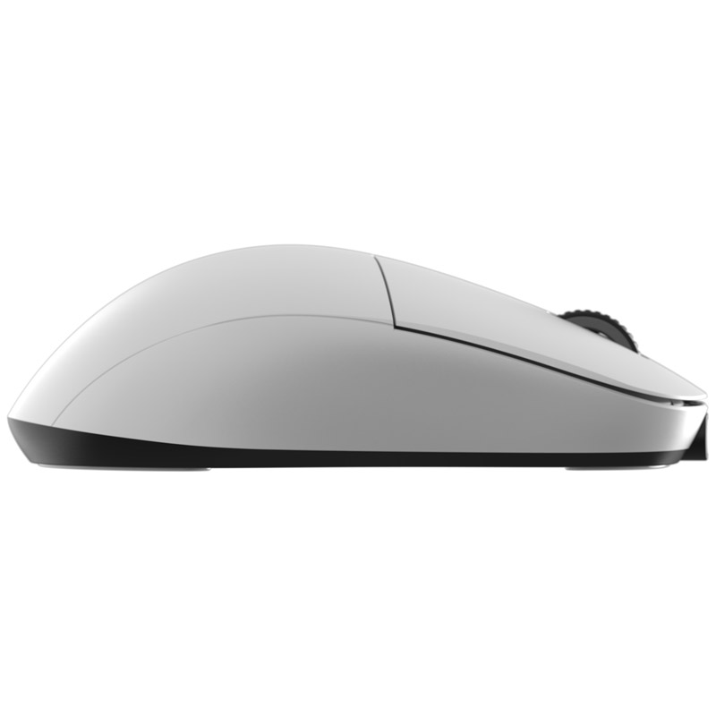 GAMO_1073_05