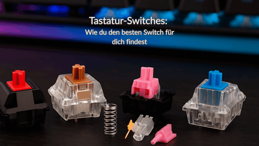 Tastatur Switches