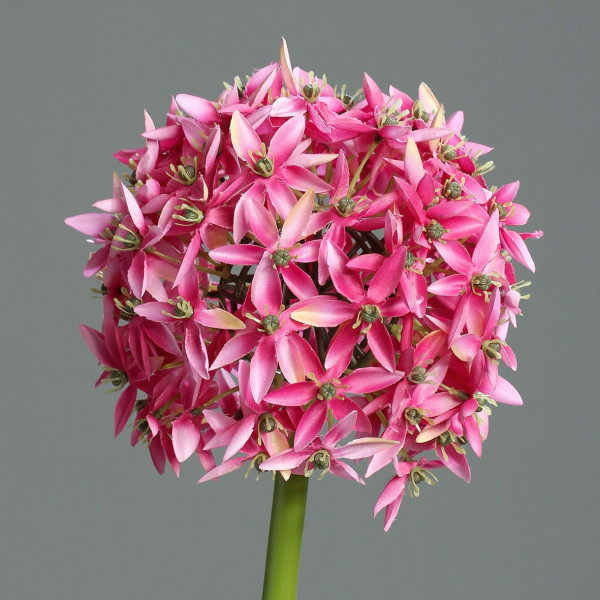 Kunstblume Allium in Fuchsia aus Kunststoff