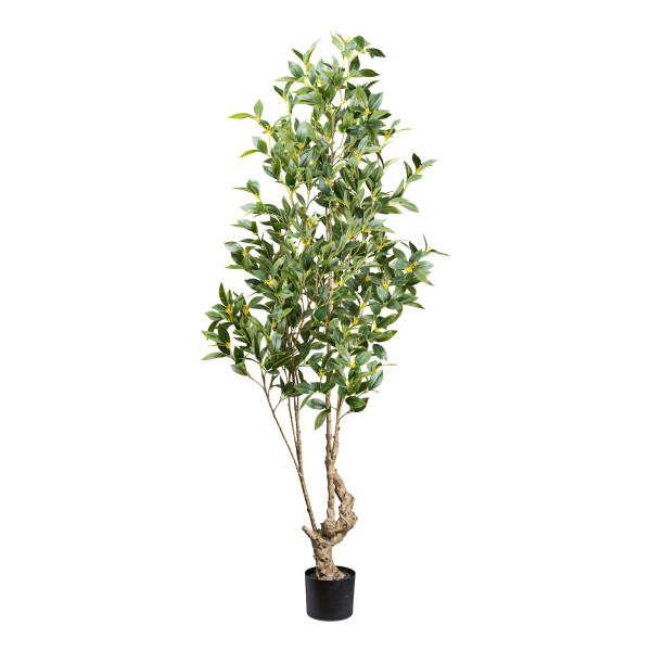 Kunstpflanze Laurus in grün aus Kunststoff