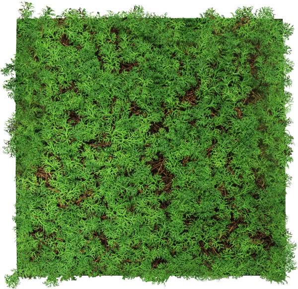 Wandpaneel MODULAR WALL in mehrfarbig aus Materialmix