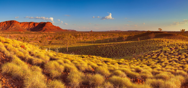 Akustikbild ARIZONA in mehrfarbig aus Materialmix