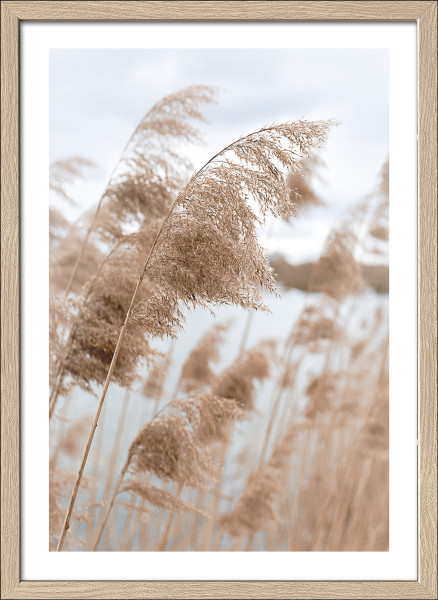 Gerahmtes Bild IN THE BREEZE in mehrfarbig aus Glas satiniert