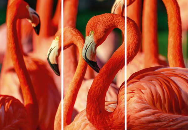 Akustikbild FLAMINGOS in mehrfarbig aus Materialmix