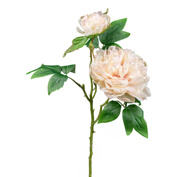 Kunstblume Peonie in champagner aus Kunststoff