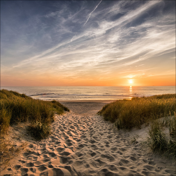 Glasbild WEG ZUM STRAND in mehrfarbig aus Glas