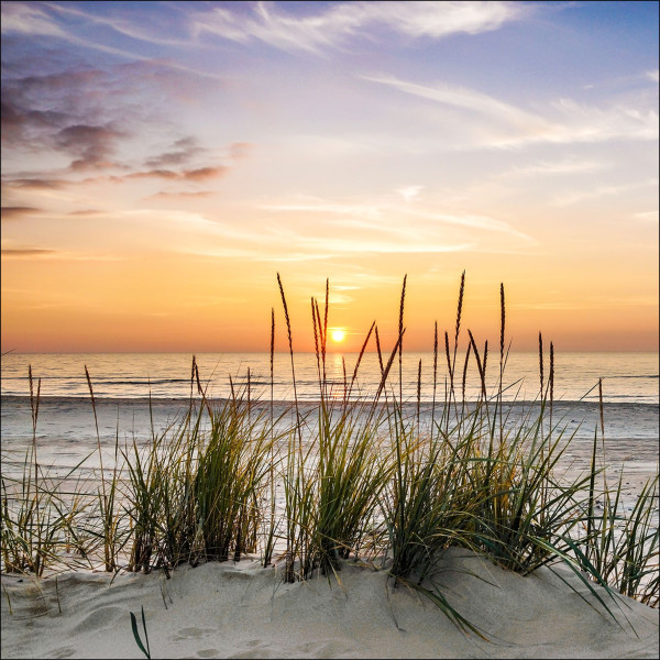 Glasbild LONELY DUNE in mehrfarbig aus Glas