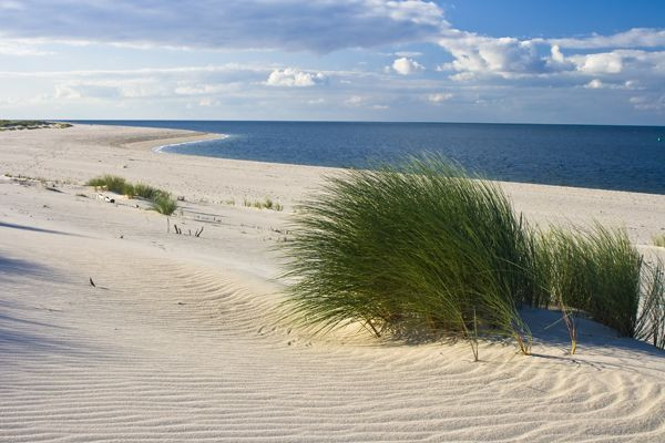 Leinwandbild STRAND DÜNENGRAS in bunt aus Kunststoff