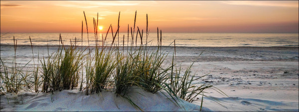 Glasbild LONELY DUNE in mehrfarbig aus Glas