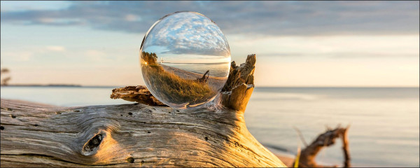 Glasbild DROP ON WOOD in mehrfarbig aus Glas
