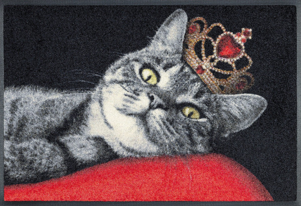 Fußmatte ROYAL Cat in mehrfarbig aus Polyamid