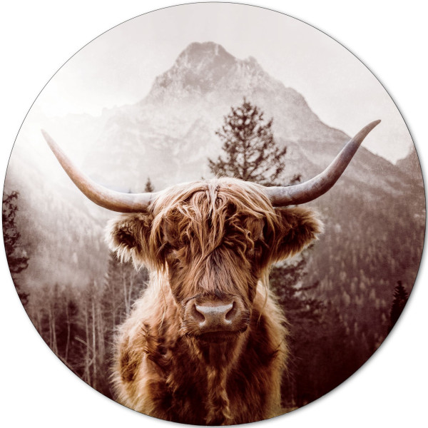 Aludibondbild SCOTTISH in mehrfarbig aus Alu