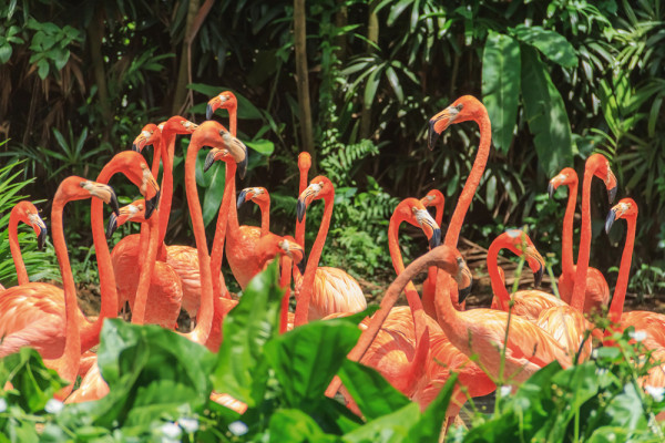 Akustikbild FLAMINGO aus Materialmix