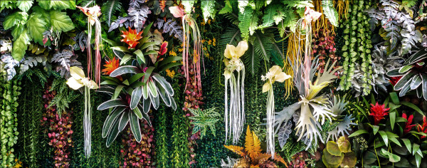 Glasbild VERTICAL GARDEN in mehrfarbig aus Glas