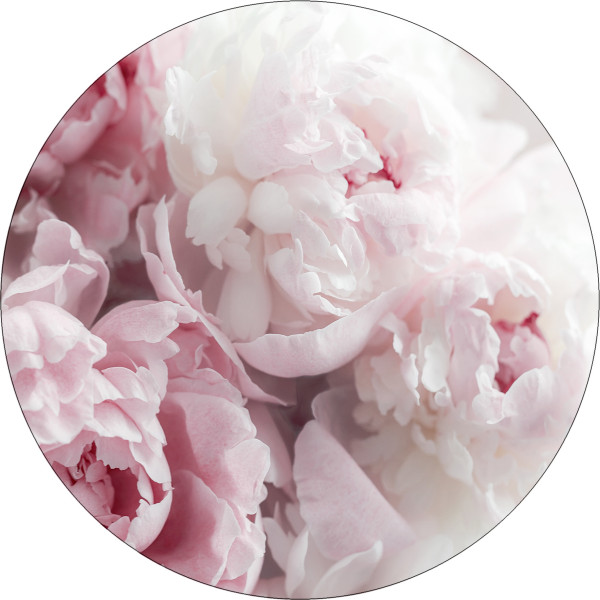 Glasbild PEONIES II in mehrfarbig aus Glas