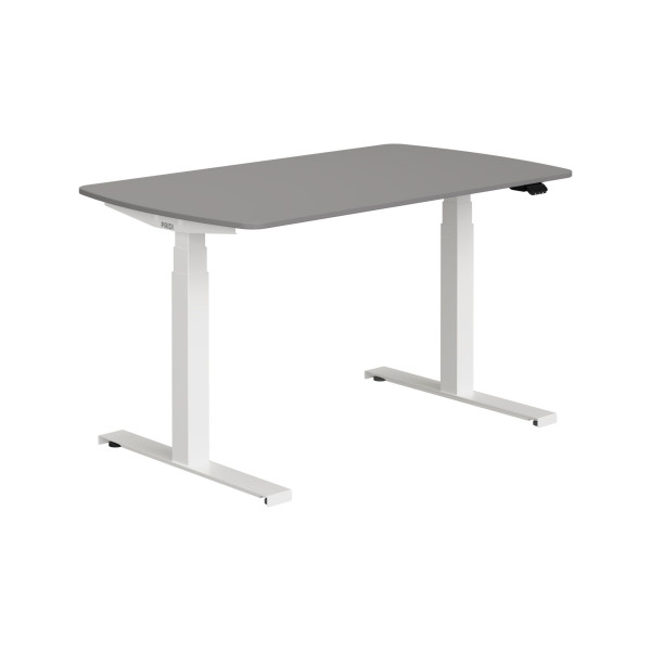 Schreibtisch PAIDI E-LION in grau