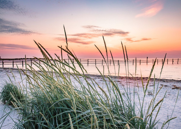 Aludibondbild NORTHSEA in mehrfarbig aus Metall