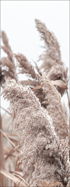 Keilrahmenbild IN THE BREEZE in mehrfarbig aus Holz