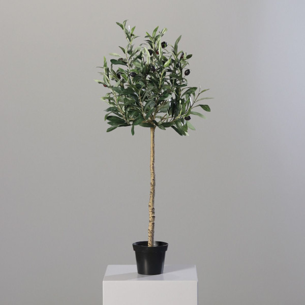 Olivenbaum grün in grün aus Kunststoff