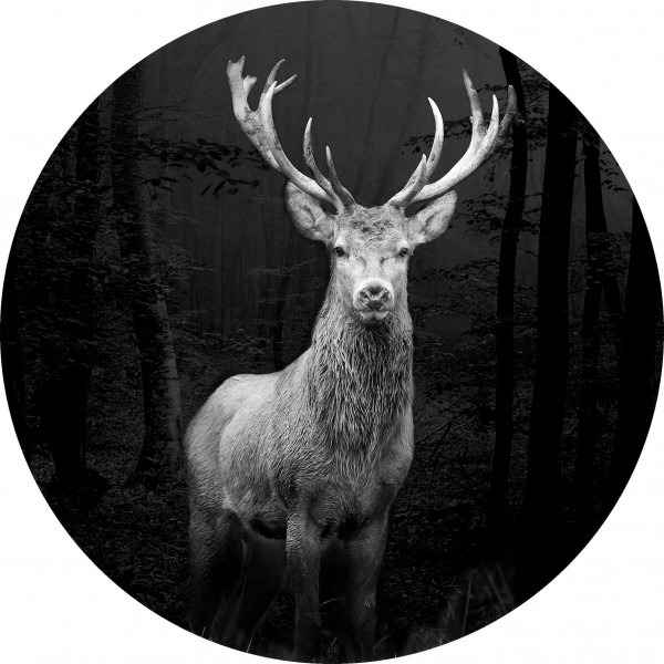 Glasbild GREY DEER HEAD in mehrfarbig aus Glas