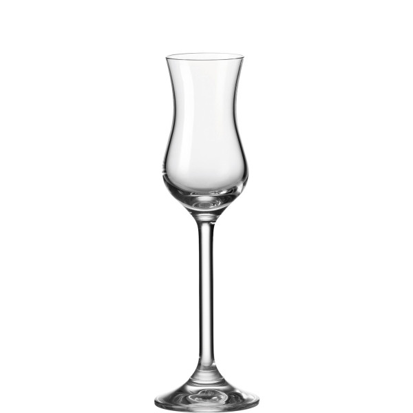 Grappaglas DAILY in klar aus Glas